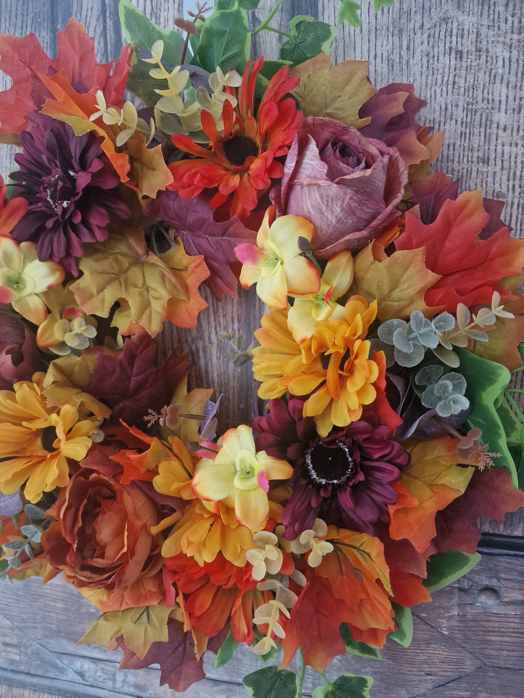 Gerbera Autumn Gourgeousness