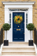 Sunshine on your Door